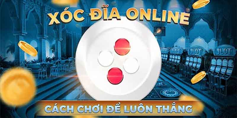 Tổng quan về xóc đĩa